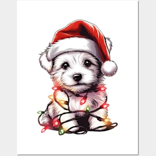 Adorable Dog Christmas Lights Santa Hat Posters and Art